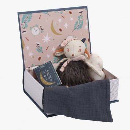 69299 moulin roty nocni kniha na prvni sny