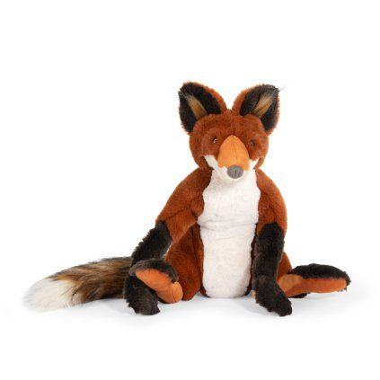 Renard