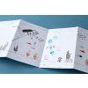 AC012U SEA CALM STAMPS HD 6