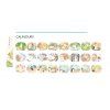 MR894369