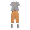 gray 2026 01 26T115432.066