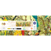 DJECO Puzzle Svět ptáků - 1000 pcs