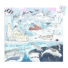 DJECO Puzzle Antarktida - 54 pcs